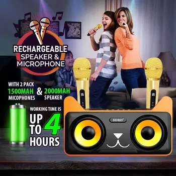 Profesinės 2 Kanalo Karaoke Mikrofonas Namų Sistemą Dvigubai Bevielis Mikrofonas su 