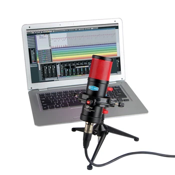 Alctron CS35 kondensatoriaus mikrofonas, profesionalus ir įrašymo studijoje su shock mount 