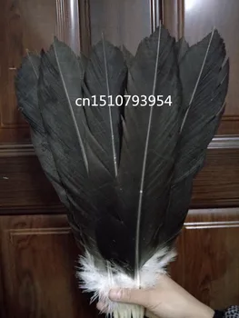 Didmeninė aukštos kokybės 10vnt panika Gamtos didelis erelis uodegos plunksnos 35-40cm/14-16inch Dekoratyvinis 