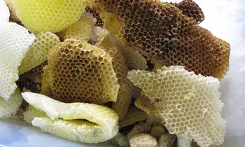 AKARZ Garsaus prekės ženklo geltonas bičių Vaškas Grynos Natūralios Kosmetikos Klasės, Aukščiausios Kokybės, 