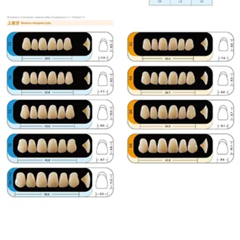 12 Rinkinių, 3 Dėžutės Dantų Sintetinių Polimerų Dantis 3 Pilnas Komplektas Dervos Dantų Protezų, Dantų Dantų