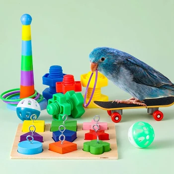 AAAK -Paukščių Mokymo Žaislai Papūga Žvalgybos Žaislas Papūga Medinių Blokas Dėlionės, Žaislų Krūvas Žiedai Žaislas